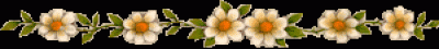 Flowerbar  1
